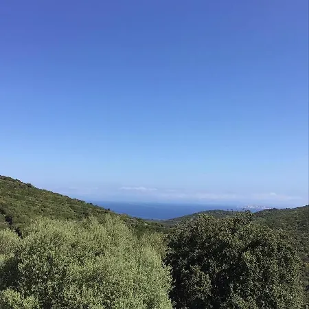 Lu Stabbiacciu *